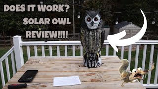 Solar Bird Repellent Owl Decoy Bird Deterrent Devices Outdoor with Flashing Eyes REVIEW [upl. by Enorej779]