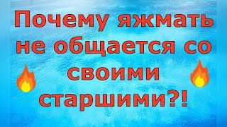 Деревенский дневник очень многодетной мамы \ Почему яжмать не общается со своими старшими \ Обзор [upl. by Leterg20]