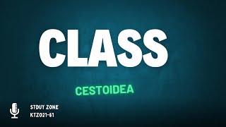 class cestoideaTrue tapewormSub class cestodaria Eucestodaria Cestodaria [upl. by Aissatan892]