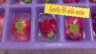 How To Make Fresh Floral Ice Cubes [upl. by Wollis]