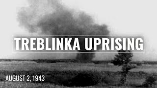 The Treblinka Uprising Resistance amp Remembrance 80 Years Later [upl. by Ryter]