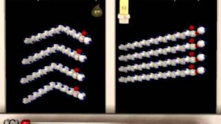 Lipid Structure Function Animation [upl. by Halford968]