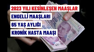 İŞTE KESİNLEŞEN 2023 ENGELLİ MAAŞLARI [upl. by Adhern432]