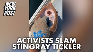 Tickle me Hell no Stingray videos spark outrage among animal lovers  New York Post [upl. by Sremmus]