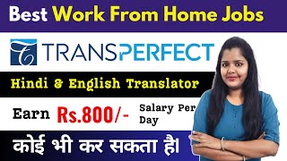 Online Hindi English Translator Job  Online Work From Home  Transperfect  Work From Home Job 2024 [upl. by Cad]