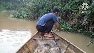 walau hasil mengurang namun tetap ada fish menjaring [upl. by Micco]