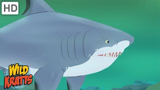 Wild Kratts  Sharks  Apex Predators of the Oceans [upl. by Kynan]