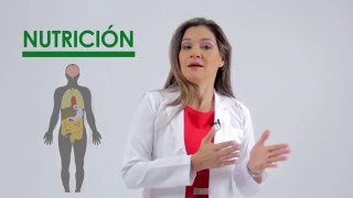 Nutrición ¿Qué es la nutrición [upl. by Fahy]