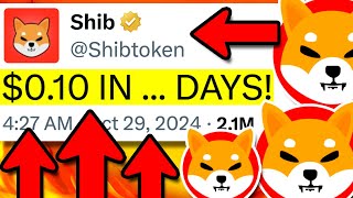 SHIBA INU SHYTOSHI WHAT BUT HOW IS THIS EVEN POSSIBLE  SHIBA INU COIN NEWS TODAY [upl. by Spieler230]