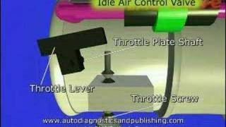 TPS or Throttle Position Sensor Adjustment 1 [upl. by Frey]