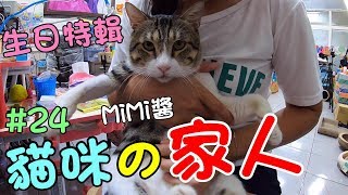 『貓咪的家人』一家五口幫姊姊慶生 Cat Story24 [upl. by Critta]