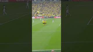 Tor Juble Marco Reus  Borussia Dortmund vs FC Augsburg Bundesliga  Signal Iduna Park  17082019 [upl. by Ivets348]