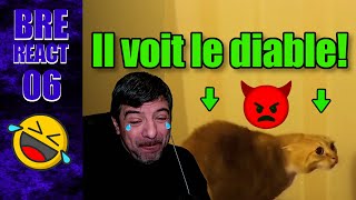 SPÉCIAL ANIMAUX😂🤣 BRE REACT 06 [upl. by Trumaine44]