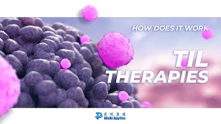 How Does It Work  TIL Therapies [upl. by Udell]