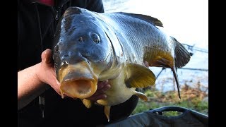 Karpfenangeln 2018  Wintermärchen  ein Traum wird wahr [upl. by Bravar]