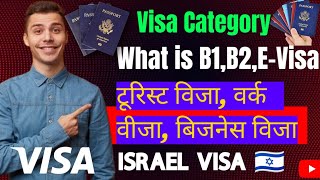 क्या होता है B1 B2 और E विजा  What is B1 B2 and EVisa  What is Visa Category [upl. by Anyl]