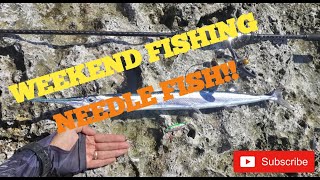 Weekend Fishing  Needle Fish  La Union Fishing [upl. by Tierell]