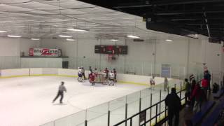 Rosedale Minor HockeyMom and Grandpa storm the ice [upl. by Des]