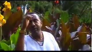 Hailu Kitaba  Wale wale Oromo Music [upl. by Assiren]