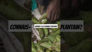 Les bienfaits de la banane plantain [upl. by Kennet]