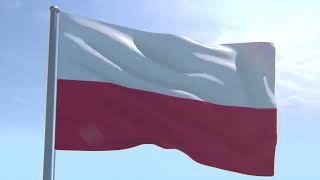 FREE Footage Poland Flag Waving  No Watermark  Flaga Polski [upl. by Nauqal270]