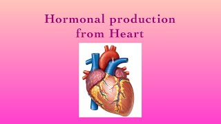 ENDOCRINE SYSTEMHormonal production from HeartPart13 [upl. by Dusty460]