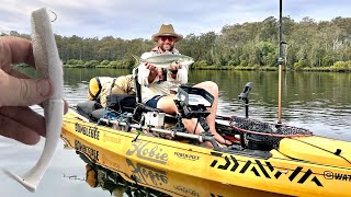 Topwater Winter Fishing the Clyde River in Batemans Bay Overnighter  homemade lure off surface [upl. by Nawek]