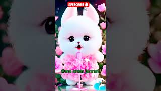 Piche Piche cuts cat video Naat 😈 cute short youtubeshorts islam catsstyle love status [upl. by Aran]