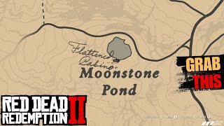 You Visited This Place at least Once But Forgot to Grab This  Red Dead Redemption 2 [upl. by Melanie]