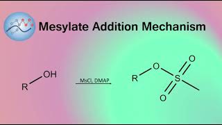 Adding Mesylate Group Mechanism  Organic Chemistry [upl. by Fulks]