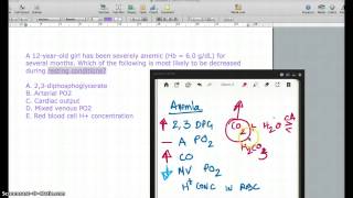 Respiratory Physiology and Anemia [upl. by Greeley]