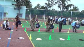 Edify School Bengaluru  Grandparents Day [upl. by Nnaeel]