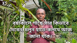 বর্ষাকালে গাছে সার কিভাবে দেবেন চলুন হাতেকলমে আজ জানা যাক। [upl. by Aenat]