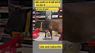 ➡️हरे रामा हरे कृष्ण song short viral videos trending video 🙏🙏🙏⚔️ [upl. by Nilat]