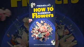 How to Illuminate Flower Display Case Tips for Grocery Stores  Promolux💡 [upl. by Kemppe548]