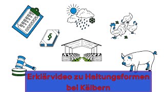 Wie werden Kälber gehalten Ein Erklärvideo [upl. by Ilujna]