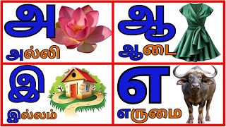 Alli aadaei Tamil alphabets a aa e ee u uuTamil ueir ezuthukkal [upl. by Elijah]