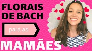 🌸 5 Florais de Bach para as Mães 🌸 Thaís Scapim [upl. by Enej]