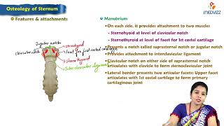 1 Osteology of sternum  Anatomy  MBBS Lecture [upl. by Calva]