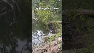 Brookside Pond Swimming Hole Newburgh NY [upl. by Areivax]