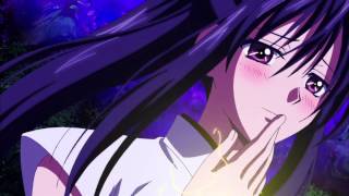 ハイスクールDxD mad動画 [upl. by Zeni678]