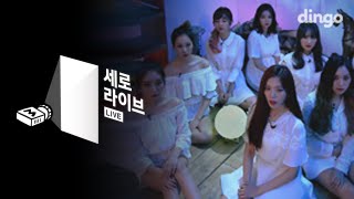 드림캐쳐 Dreamcatcher  날아올라 Fly high 세로라이브 Live [upl. by Yntruoc346]