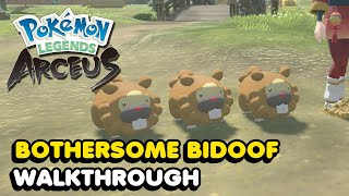 Pokemon Legends Arceus quotBothersome Bidoofquot Request Guide All 3 Bidoof Locations [upl. by Dylana]