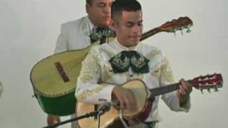 Mariachi Band in McAllen Texas Mariachi Reyes de Mexico singing Mi Cascabel [upl. by Nojad]