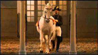 The Spanish Riding School of Vienna Part 22 [upl. by Zucker]