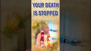 your Death Is Stopped Srila Prabhupada lecture srilaprabhupadateachings345 prabhupada lovelike [upl. by Stephen]