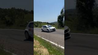 Rally Salsomaggiore Terme 2024 Ps4 Pellegrino Parmenese B rally [upl. by Edik]