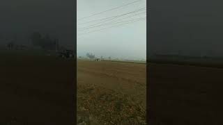 Fertile land for growing crops reels nature organic shortvideo farming trending [upl. by Alessandra]