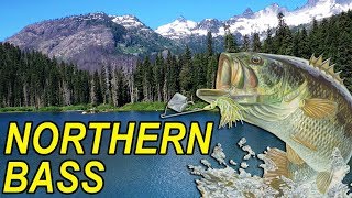 What NO ONE Says About Northern Bass Fishing [upl. by Attennot884]