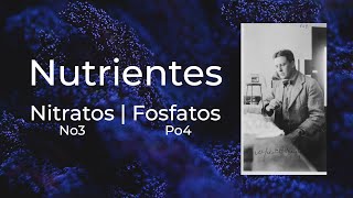 Nitratos y Fosfatos en Acuarios [upl. by Frederiksen819]